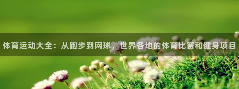 MK体育官方正版app神州:体育运动大全:从跑步到网球,世界