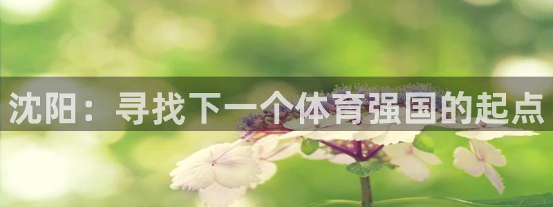 MK体育官方正版app集团:沈阳:寻找下一个体育强国的起点