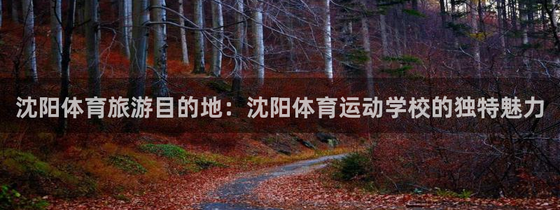 MK体育官网下载招商:沈阳体育旅游目的地:沈阳体育运动学校的